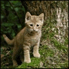 Melisande's Photo