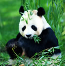 西斯大帝's Photo