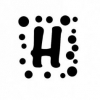 Harley's Photo