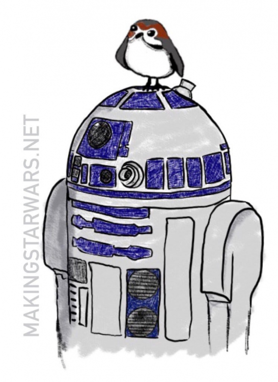 r2 and porg.png