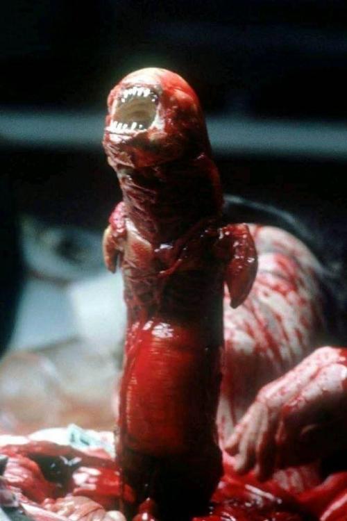 Dick Pic.jpg