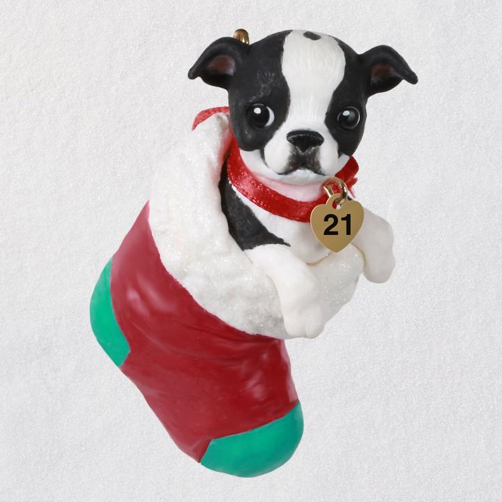 Puppy-Love-Boston-Terrier-2021-Keepsake-Ornament_1399QXR9002_01.jpg