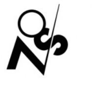 NSO Logo.jpg