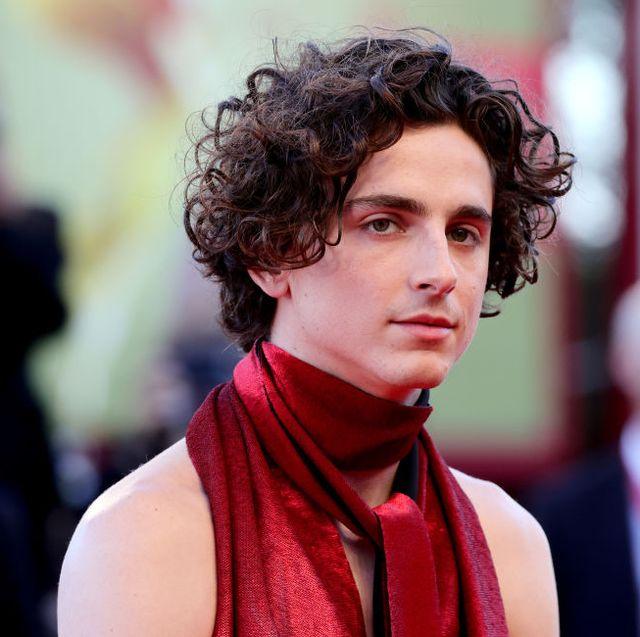 timothee-chalamet-attends-the-bones-and-all-red-carpet-at-news-photo-1662146669.jpg