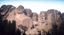 image.gif