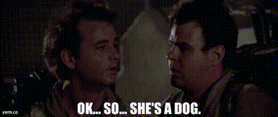 9117e088-eed4-48db-bf37-86fff347764c_text.gif