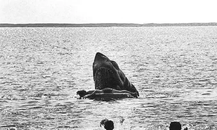 jaws-deleted-death.jpg.webp